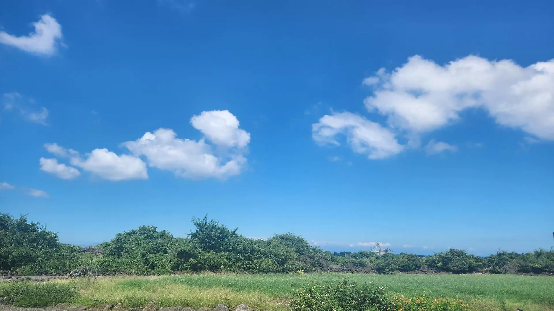 Woljeongsan Dorong Pension Jeju