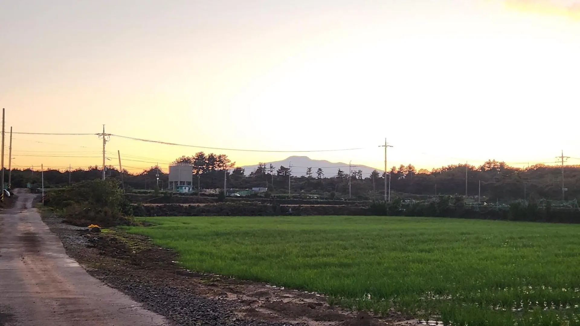 Woljeongsan Dorong Pension Jeju South Korea